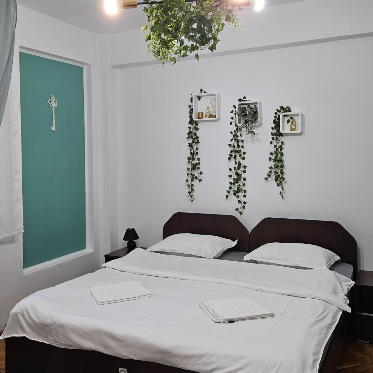 Apartment Zarnesti City Centre Vmp Free Parking Eksteriør bilde