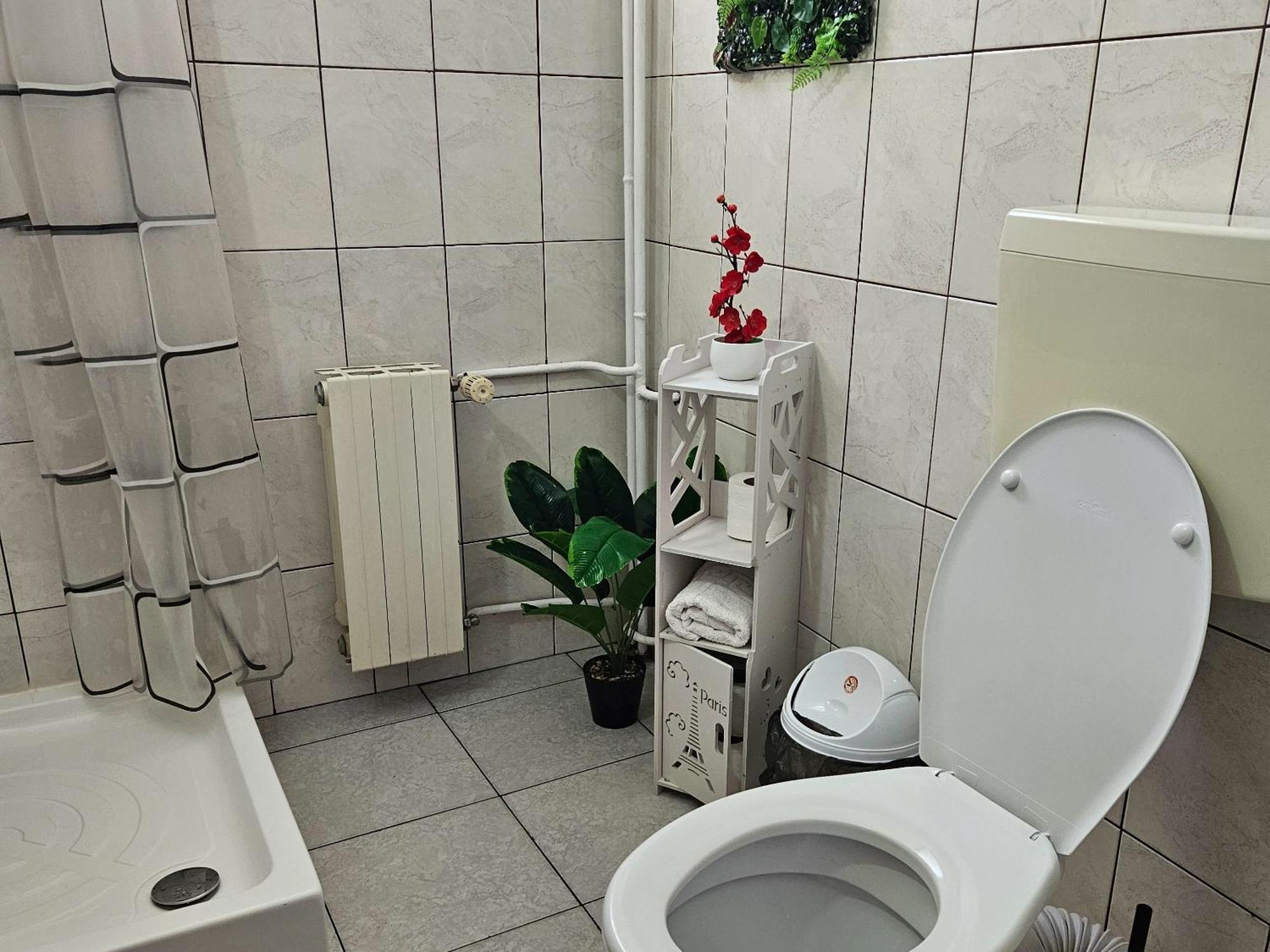 Apartment Zarnesti City Centre Vmp Free Parking Rom bilde