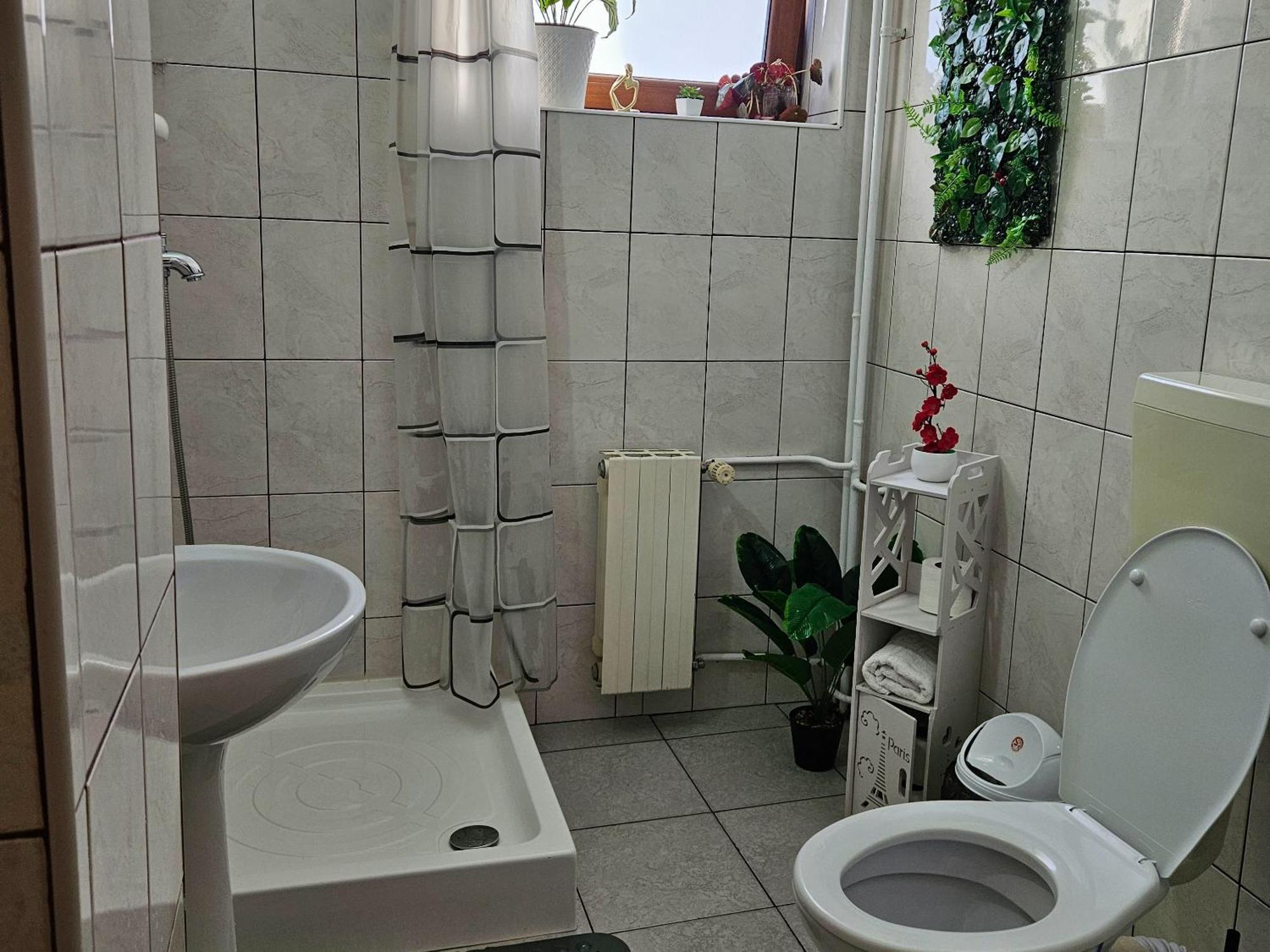 Apartment Zarnesti City Centre Vmp Free Parking Eksteriør bilde